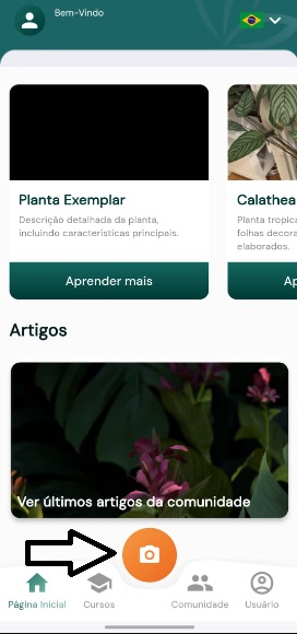 Os Melhores Aplicativos de Plantas Botanic App