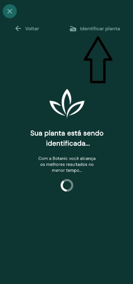 Os Melhores Aplicativos de Plantas Botanic App