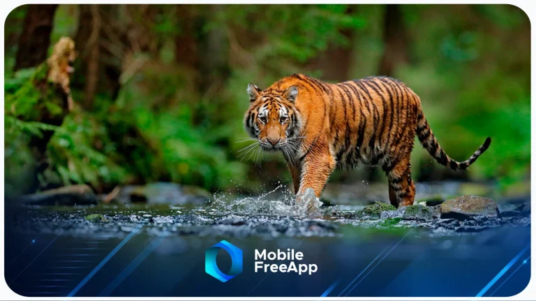 Animais Mais Raros e Ameaçados de Extinção no Planeta