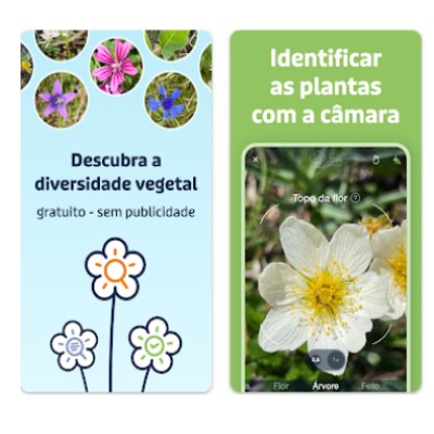 Quatro aplicativos para cuidar da saúde das plantas