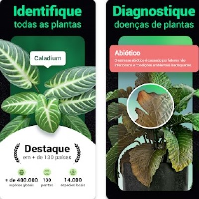 Aplicativo para identificar plantas