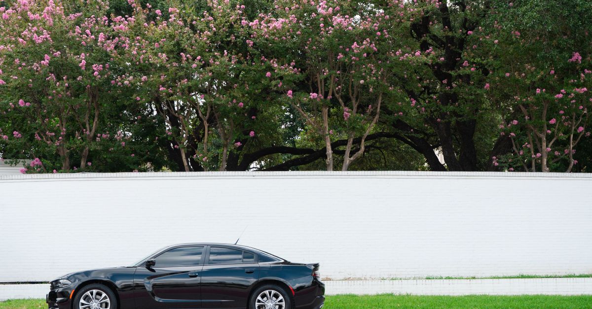 Carro de particular financiado: como o banco avalia e paga o dono