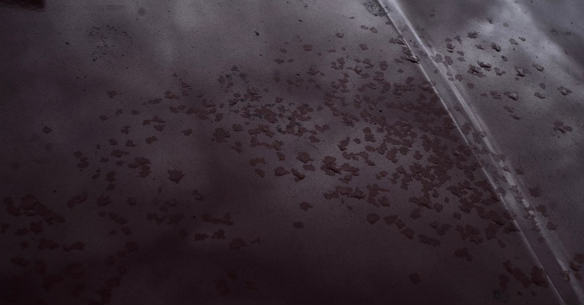 Granizo, enchente e árvore caída: o que o seguro do carro cobre